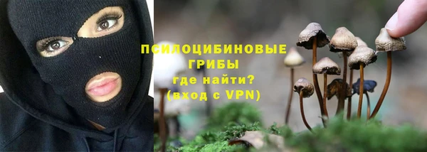 каннабис Алексеевка