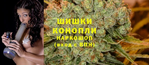 ПСИЛОЦИБИНОВЫЕ ГРИБЫ Алексин