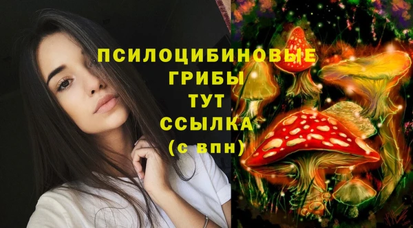 ПСИЛОЦИБИНОВЫЕ ГРИБЫ Алексин