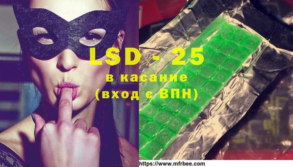 хмурый Алзамай