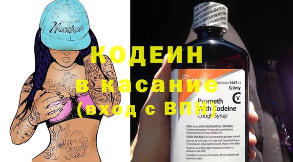 хмурый Алзамай