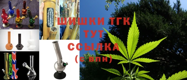 ПСИЛОЦИБИНОВЫЕ ГРИБЫ Алексин