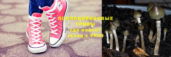 хмурый Алзамай